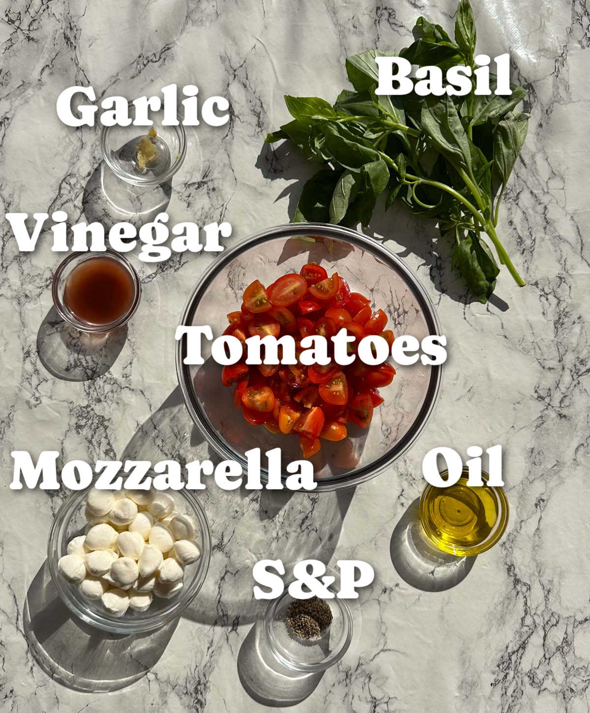 overhead shot of caprese salad ingredients with text labels